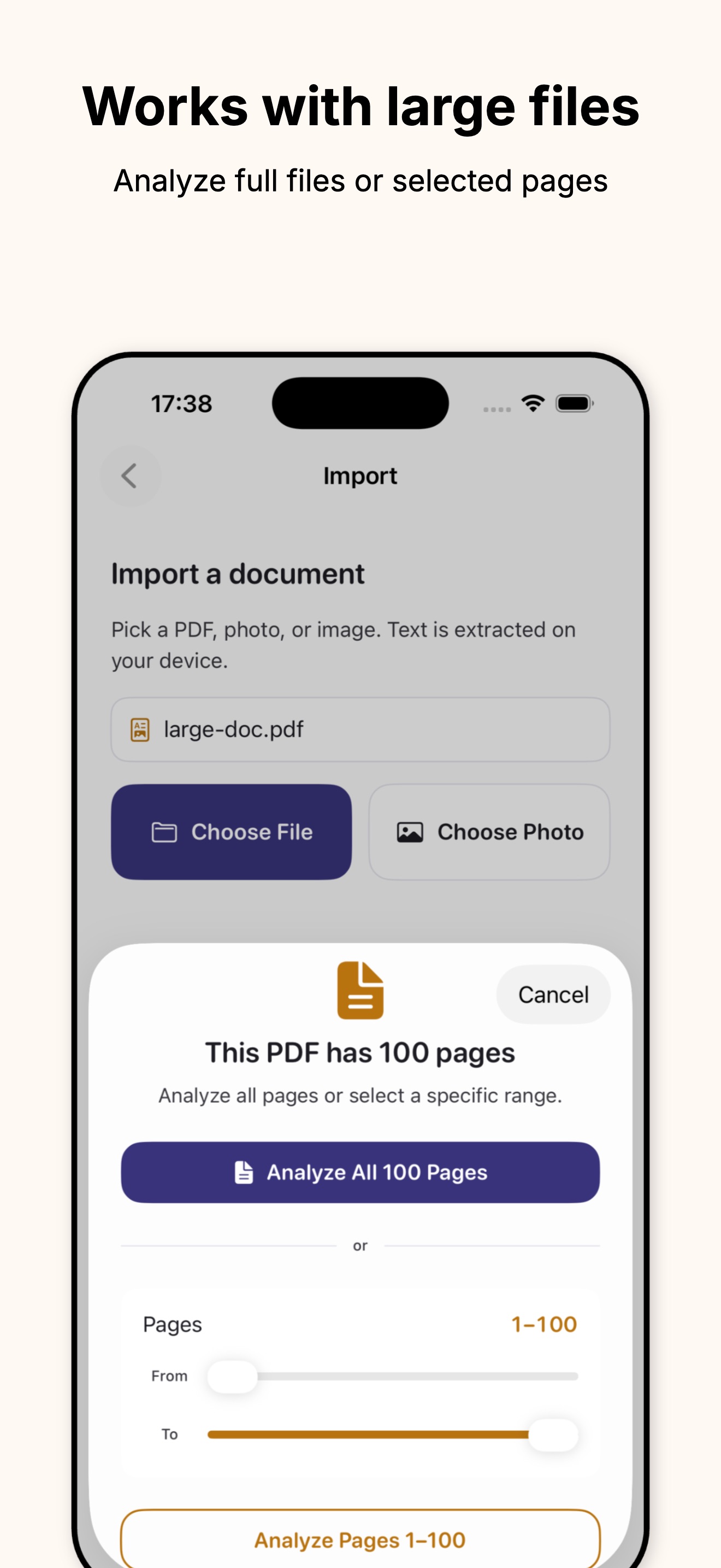 Lucidoc page range picker for a 100-page PDF, with options to analyze all pages or a selected range