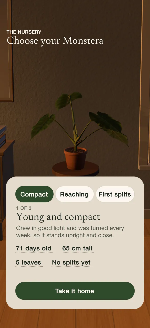 The nursery: choose your Monstera, with a young and compact plant described as 71 days old, 65 cm tall, 5 leaves