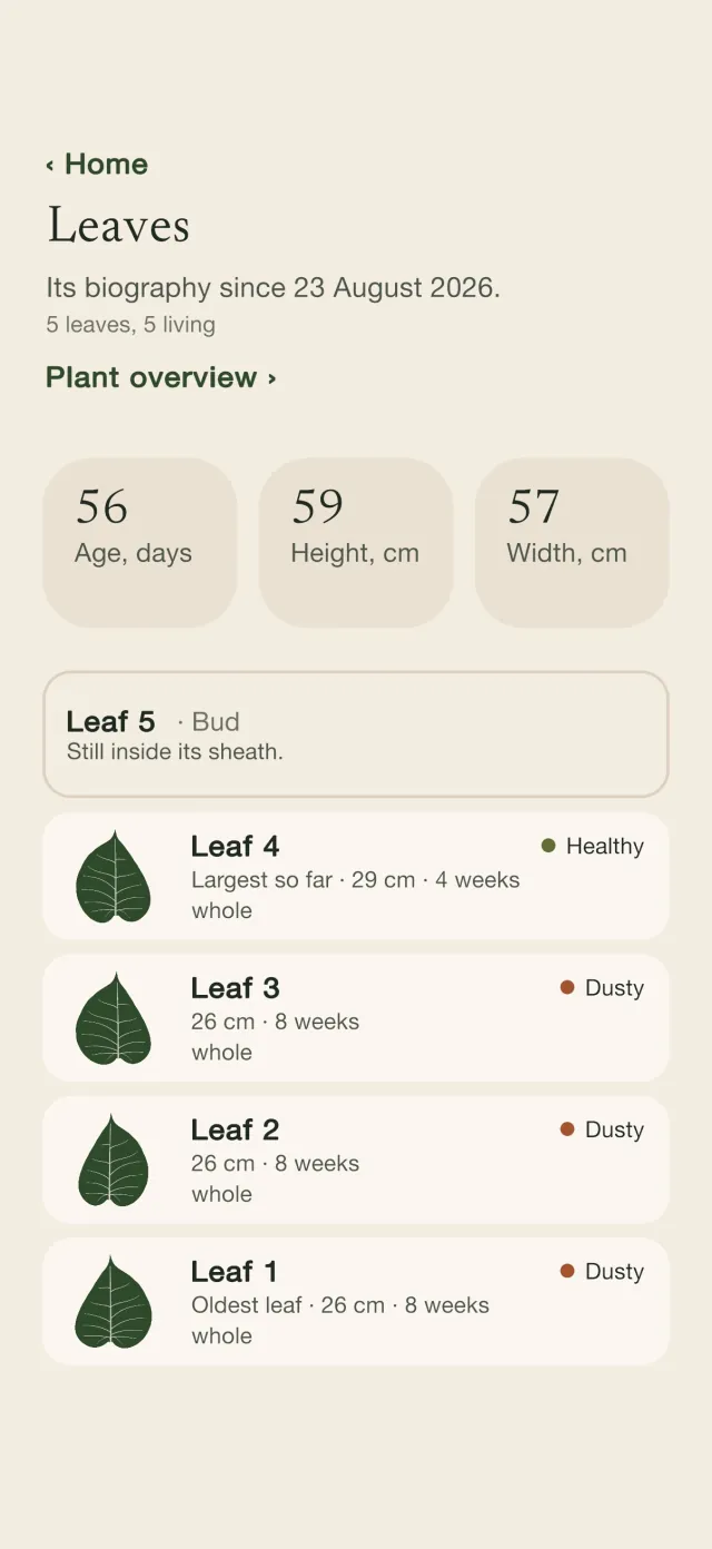 The Leaves page: the plant's biography with its age, height and width, and a card for each leaf from bud to oldest