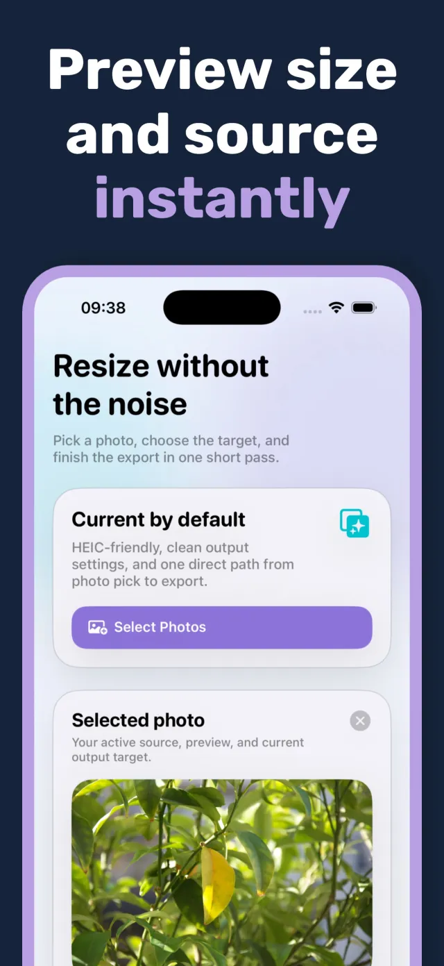 PixelsFit showing a selected photo preview with its current output target