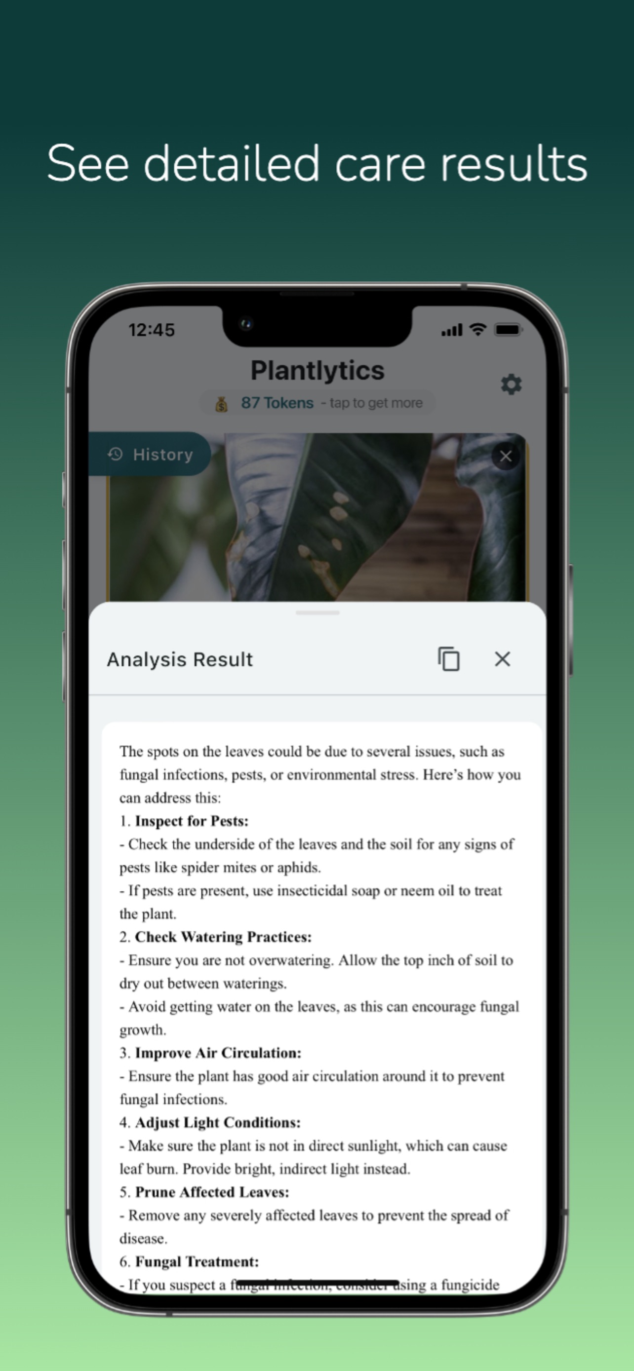 Plantlytics analysis result with numbered steps to treat leaf spots caused by pests, watering, or fungal growth