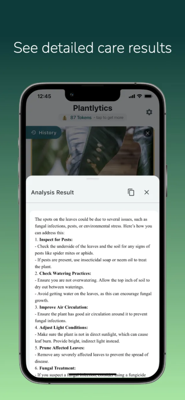 Plantlytics analysis result with numbered steps to treat leaf spots caused by pests, watering, or fungal growth