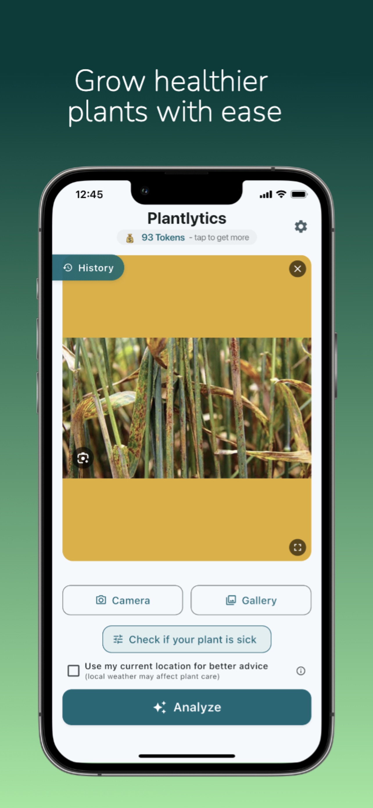 Plantlytics photo of diseased cereal crop leaves with a check if your plant is sick button