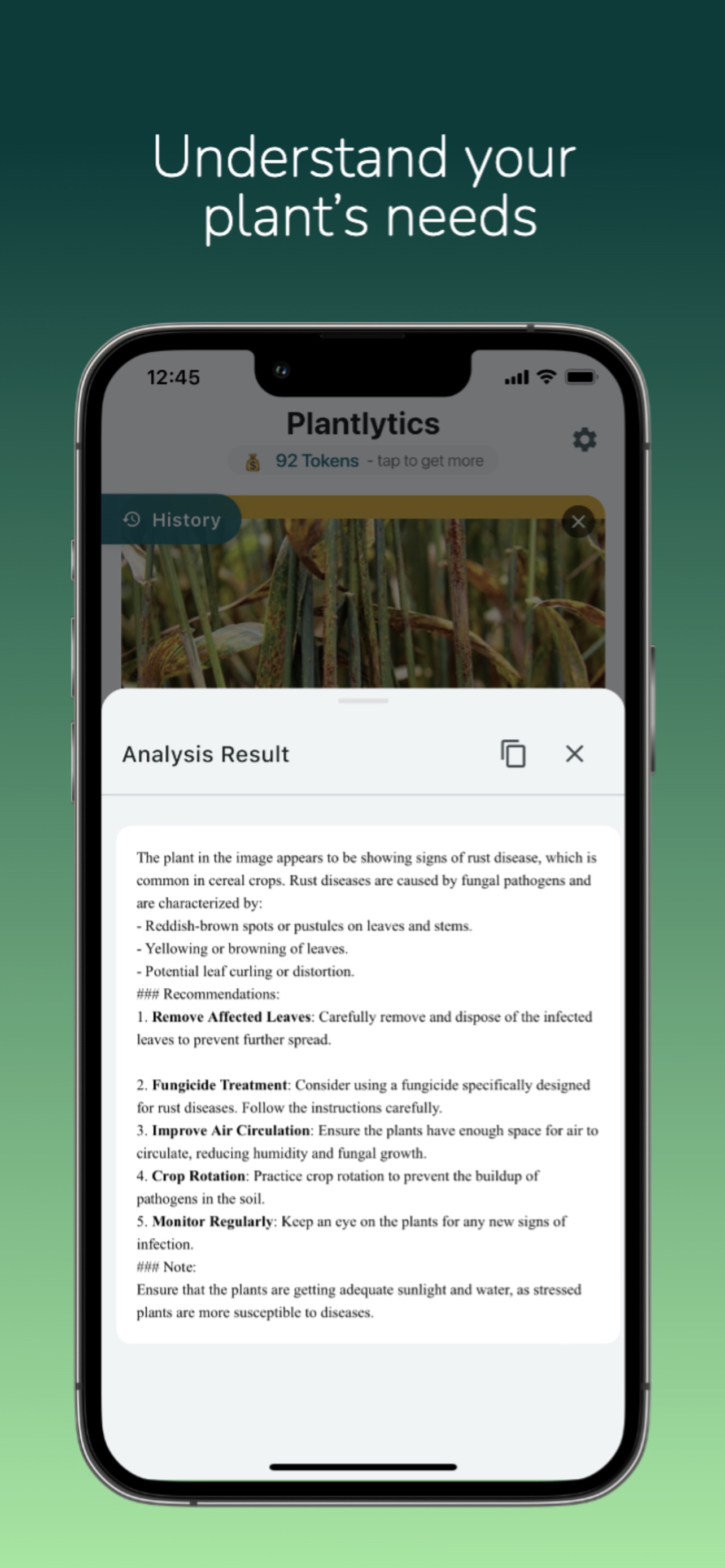 Plantlytics analysis result diagnosing rust disease in a cereal crop with numbered treatment recommendations